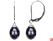 Freshwater Black 7.5-8mm Pearl Drop Earrings in Sterling Silver