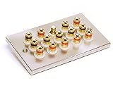 Fisual 7.1 Speaker Wall Plate Satin Chrome 31X48rRXmcL. SL160