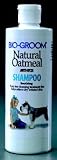 Biogroom Natural Oatmeal Shampoo - For Dogs and Cats - Tearless and Soap Free Grooming - 12 oz.