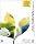 Adobe Creative Suite Standard ���{��� Windows�� ���߸�ڰ�ޔ�