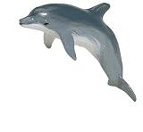 Monterey Bay Bottlenose Dolphin Adult