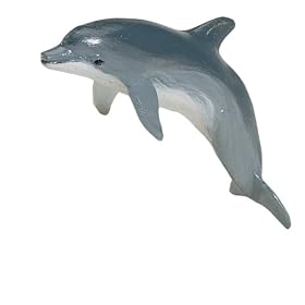 Bottlenose Dolphin, Monterey Bay Aquarium, Scale 1 20 by Monterey Bay Aquarium