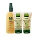 dandruff49  - Rene Furterer Okara Protect Color Complete Program