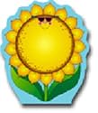 NOVEL NOTE SUNFLOWER 50 SHEETS