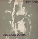 WILD AND WANDERING LP (VINYL) UK BRIDGEHOUSE