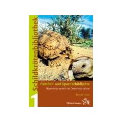 Panther- und Spornschildkr�te (Stigmochelys pardalis und Centrochelys sulcata)