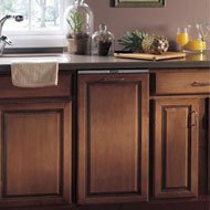 Broan Elite 15 inch Compactor with Wood Trim Door