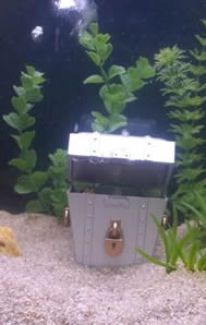 Buy JW Pet Company Activair Treasure Chest Aquarium Ornament