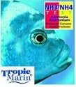 AmmoniumAmmonia Test Kit SWFW 50ea(Tropic Marin)