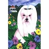 image link - - B0006NE5RU