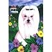 maltese29  - Maltese Garden Flag by GR8 Dogs Multi 12