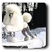 poodle22  - Dogs Poodle Poodle Mouse Pads