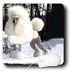 image link -  - B000EGITCQ