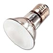 Satco S4100 - 50PAR20/HAL/FL/FROST - 50 Watt Frosted PAR20 Flood Light Bulb, 38 Degree Flood