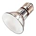 Satco S4100 - 50PAR20/HAL/FL/FROST - 50 Watt Frosted PAR20 Flood Light Bulb, 38 Degree Flood