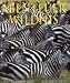 Third Party New : Abenteuer Wildnis