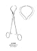 Bone Holding Forceps, Lewin - 7 inch , 18 cm - 1 ea
