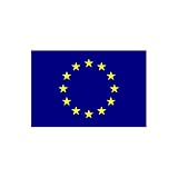 European Union Flag 3ft x 5ft Polyester