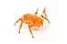 Hexbug Scarab (Colors May Vary)_s-4