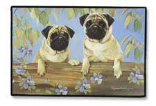 image link - - B002ZPDRKS