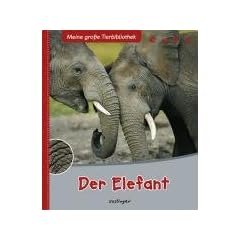 Der Elefant