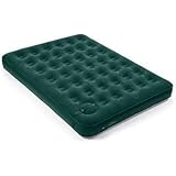 Insta-Bed W/Sps Pump, Queen - Wenzel