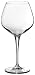 Bormioli Rocco Symposium Barolo Glasses, Set of 4