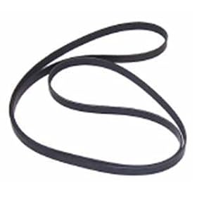 Serpentine Belt by