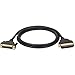 Tripp Lite - Printer cable - DB-25 (M) - 36 pin Centronics (M) - 6 ft ( IEEE-1284 ) - molded *