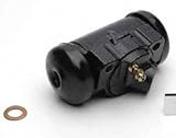 Raybestos WC36018 PG Plus Professional Grade Wheel Cylinder
