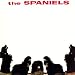 Spaniels