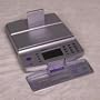 Pelouze Internet Postal Scales w/ AC Adapter - PELPS40DL - 1 Each - Silver