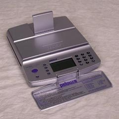 PELPS40DL Internet Postal Scale  40lb.  11x11 1 2x2  Silver