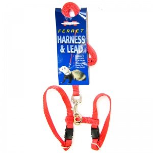 Ferret Harness And Lead Combo