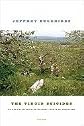 The Virgin Suicides