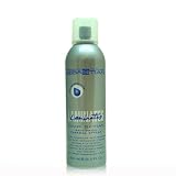 Sebastian Laminates Hair Spray Anti-frizz Thermal Shine Styler