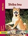PraxisRatgeber Shiba Inu.