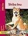 PraxisRatgeber Shiba Inu.