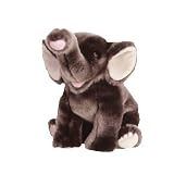 Review TY  / TY Trumpet the Elephant Beanie Buddy 12