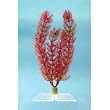 Tetra 19105 Water Wonders Fresh Water Plant Foxtail, 6-Inch