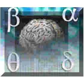 Neurofeedback / EEG biofeedback Neurofeedback Practice success DVD course