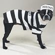 Casual Canine Prison Pooch Costume Med