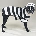 Casual Canine Prison Pooch Costume Xlg