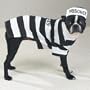 Casual Canine Polyester and Cotton 20-Inch Prison Pooch Dog Costume, Large, Black and White