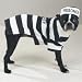 Casual Canine Prison Pooch Halloween Costume for Dog/Puppy- Extra Large