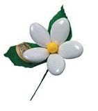 Confetti Fiori- Traditional Italian Floral Candy, 
