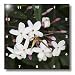Divinity and Hope - white, flower, stamen, petals, jasmine, fragrant, blossom - 10x10 Wall Clock