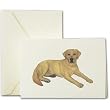 Yellow Lab Dog Notes