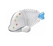 I-Fish White