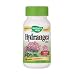 Nature's Way Hydrangea Root, 370 mg, 100  Capsules